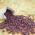 Red small bean adzuki bean new crop natural color